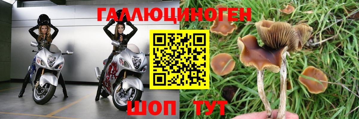 Галлюциногенные грибы прущие грибы Астрахань