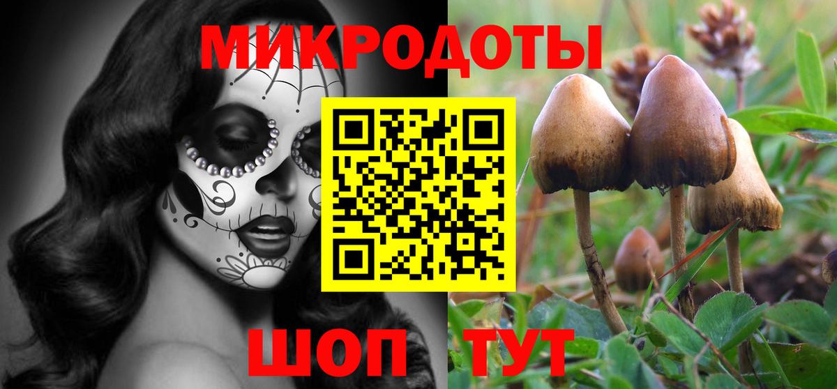 Астрахань  Галлюциногенные грибы прущие грибы  Псилоцибиновые грибы Psilocybine cubensis  Вход с VPN 